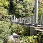 白谷雲水峡のさつき吊橋の画像