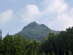 樋桶山登山口への林道途中から見る樋桶山の画像