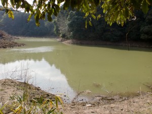 ヤンバラ池（カンバラ池？）の画像