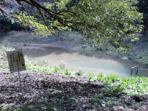 ヤンバラ池から10分ほど下った場所にあるため池の画像