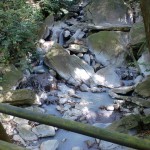 霧島最古の岩風呂のわきを流れる川の画像