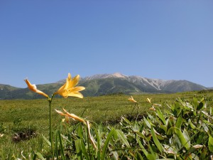 折立登山道から見る薬師岳の画像