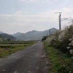 ＪＲ西屋敷駅から津波戸山登山口に至る線路沿いの道の画像