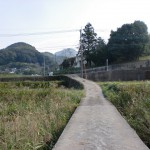 津波戸山登山口手前の細い橋の画像