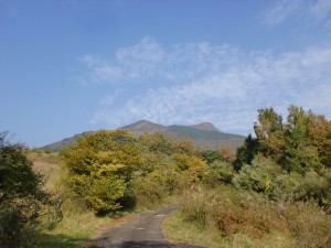 登山道から見る花牟礼山の画像