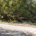 大河内地区からの林道と県道31号線からの林道が交わるＴ字路地点の画像