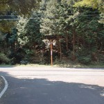 林道浅井谷線の終点（岸岳登山道入口近く）の画像