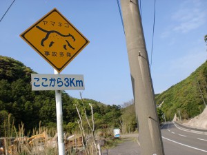 ツシマヤマネコ飛び出し注意の標識の画像
