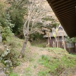 円応寺山門左側の柏岳登山道入口の画像