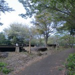 長串山公園のキャンプ場の画像