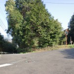 神田駅前から韮岳登山口に向かう途中のＴ字路を左折してすぐのＴ字路を右折した先にある分岐の画像