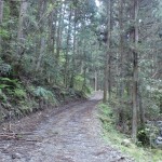戸祇御前山登山口へ続く未舗装の林道の画像