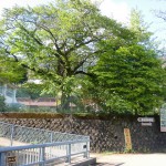 旧中津小学校前（久万高原町）の画像