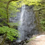 林道梅ヶ谷永子線の道路沿いにある名無しの滝の画像