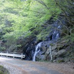 林道梅ヶ谷永子線の道路沿いにある御来光の滝の画像