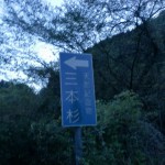 福見川町の三本杉入口に立つ三本杉を示す道標の画像