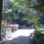 神谷神社本殿右側の林道