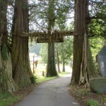 仲仙寺の杉の木の門