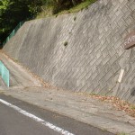 大川山キャンプ場に行く途中にある「だいせんみち」を示す道標の画像