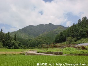 比叡神社の東側から見る蓮華山