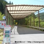 上島バス停横の易老渡・便ヶ島方面に向かう林道の入口