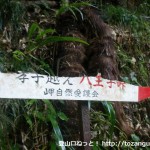 孝子の森への林道入口にある「孝子越え・八王子峠」を示す道標