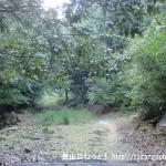 鎌倉寺山の牛岩登山口（林道終点）