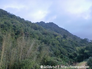 南登山口付近から見る鎌倉寺山（広島）の南峰あたり
