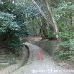 掃守神社（天羽雷命神社）の左側に延びる二上山への登山道に続く道