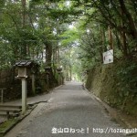 大神神社の手水舎から狭井神社に向かう途中の森の中の小路
