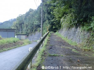 口倉神社に向かう林道の入口