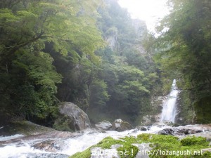 笹の滝（十津川村奥里）