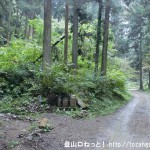 三沢峠に向かう林道