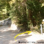 羽黒三田神社の本殿右横から登山道に入った先で車道に出てまた登山道に入るところ
