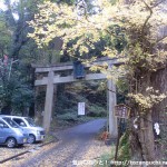 ケーブルカーの滝本駅前にある御岳神社の鳥居と神代銀杏