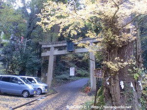 ケーブルカーの滝本駅前にある御岳神社の鳥居と神代銀杏