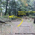 永山総合グラウンドからの遊歩道が青梅丘陵ハイキングコースに合流するところ