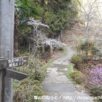 姫谷温泉横の奈良子尾根の登り口から見る奈良子峠への登山コース