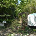 茶臼山の籾山峠口ハイキングコース入口に設置されている案内板