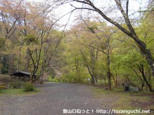竜神の滝キャンプ場（群馬県上野村）
