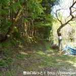 村松堰堤の少し先の林道のＴ字路