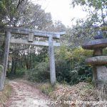 高蔵神社の参道の鳥居