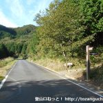 三平山登山口前の車道