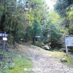 七種山登山口となる林道終点に設置してある七種滝の遊歩道を示す道標