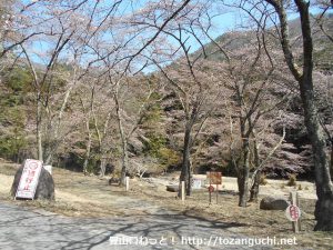 滝子山の登山口となる桜公園