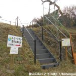中貝津の京ヶ峯登山口のトヨトミナシの案内板