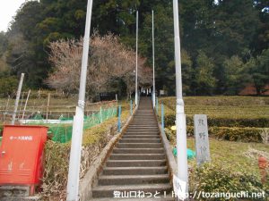 豊根村の富山地区にある熊野神社の参道入口