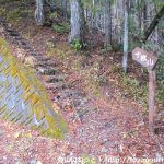 十枚山の登山口 中の段(関の沢)にバスでアクセスする方法