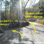 愛川ふれあいの村裏手の高野山と仏果山の登山コースの分岐地点