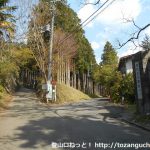 塔ノ岳の大倉尾根コースの登山口にバスでアクセスする方法